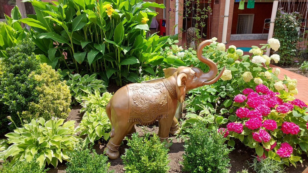 Гостиница Отдых у Александра Геленджик-17