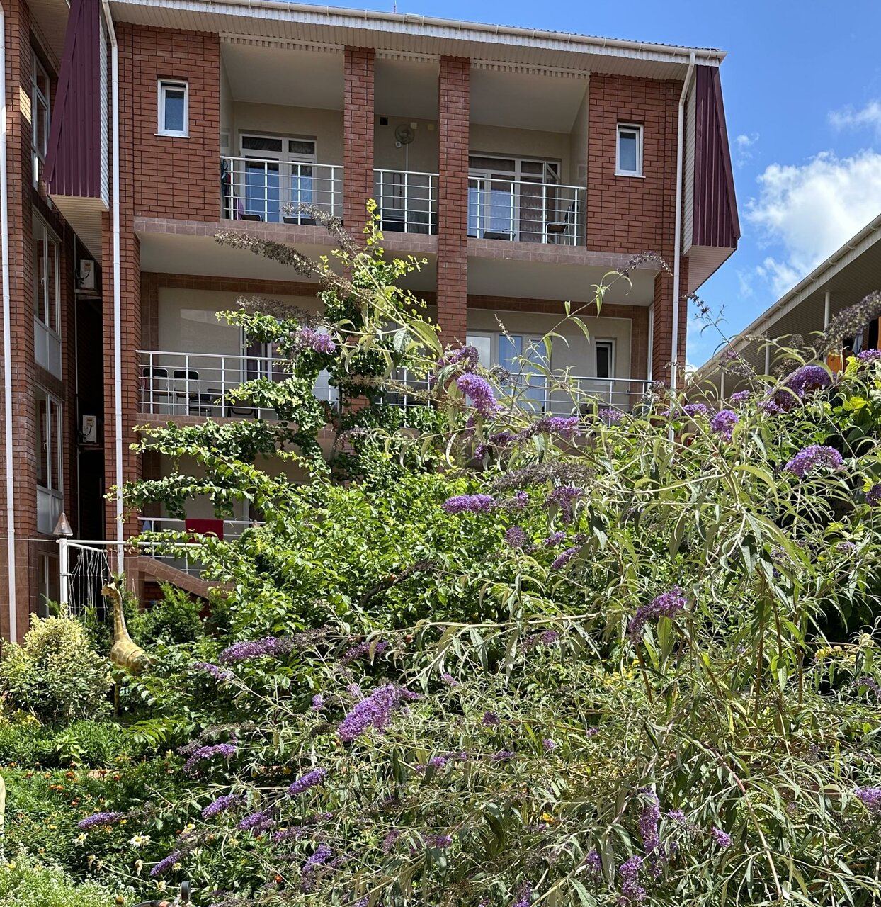 Гостиница Отдых у Александра Геленджик-42