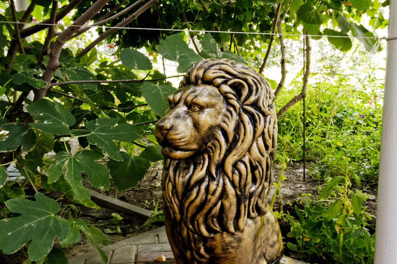 Гостиница Отдых у Александра Геленджик-5