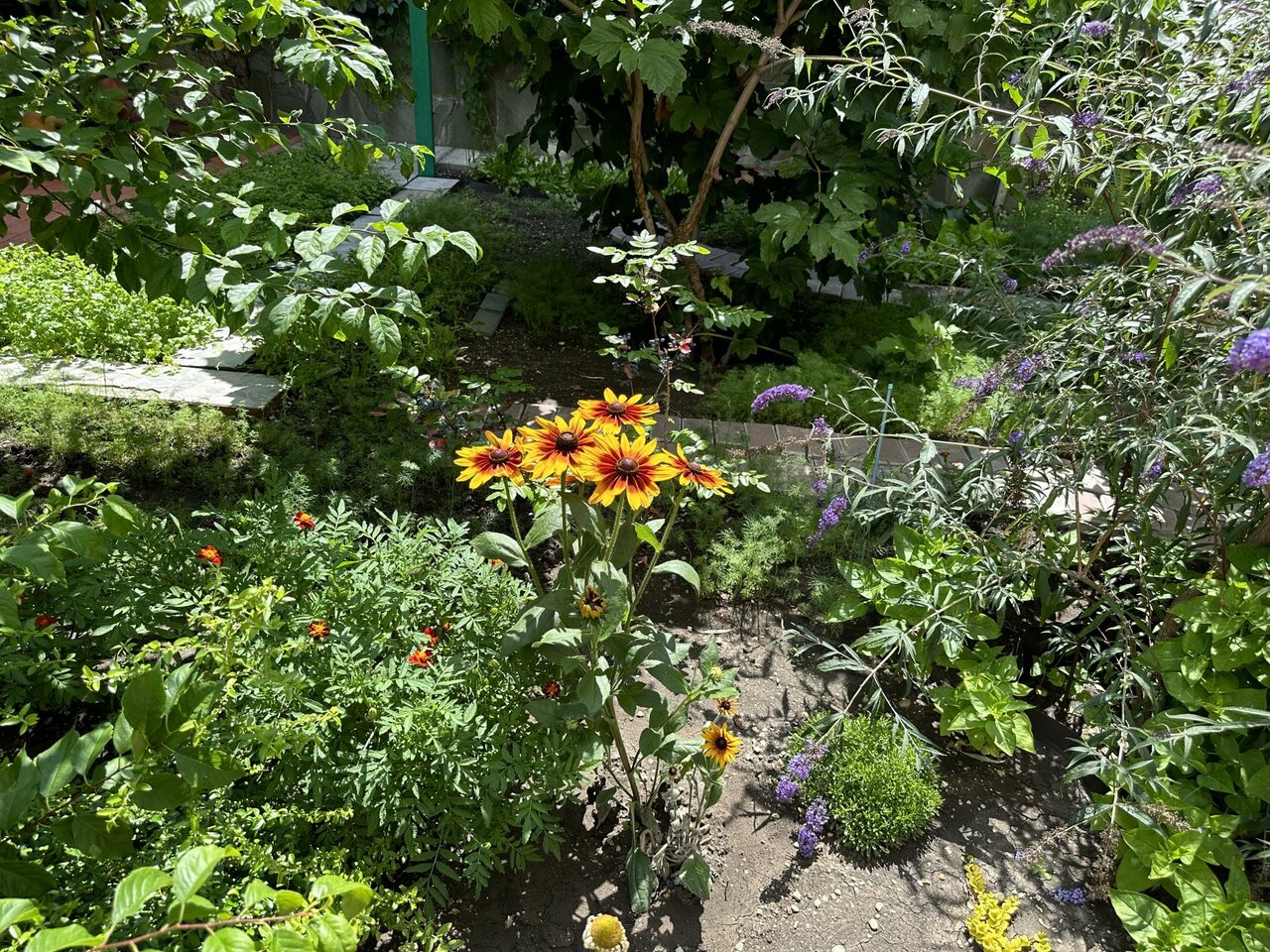 Гостиница Отдых у Александра Геленджик-62