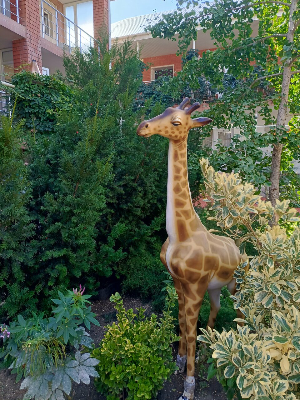 Гостиница Отдых у Александра Геленджик-74