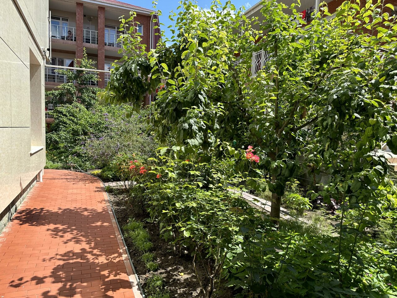 Гостиница Отдых у Александра Геленджик-32