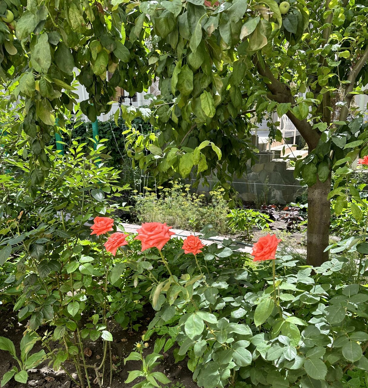 Гостиница Отдых у Александра Геленджик-56