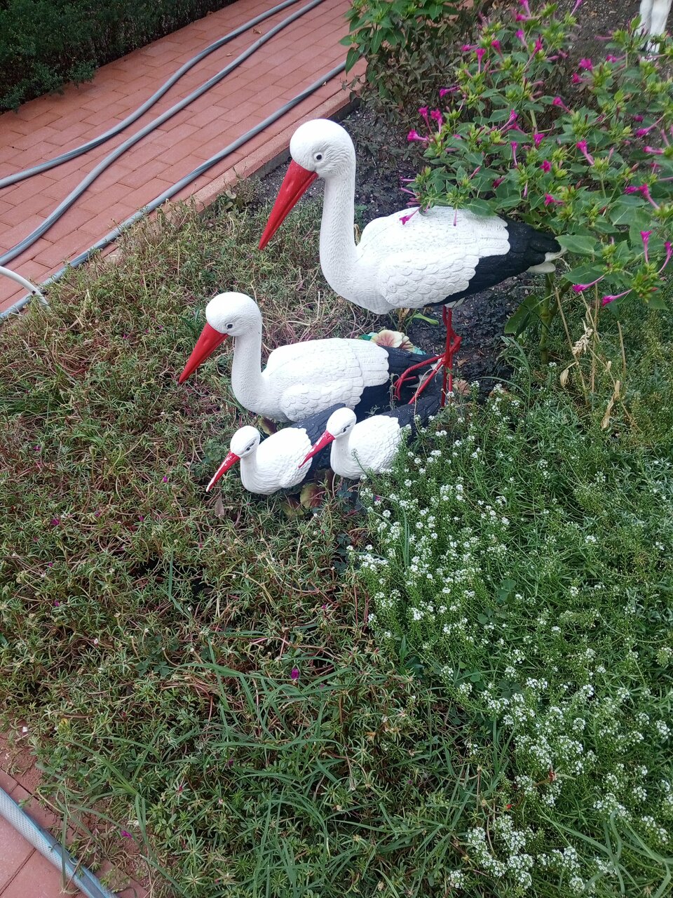 Гостиница Отдых у Александра Геленджик-58