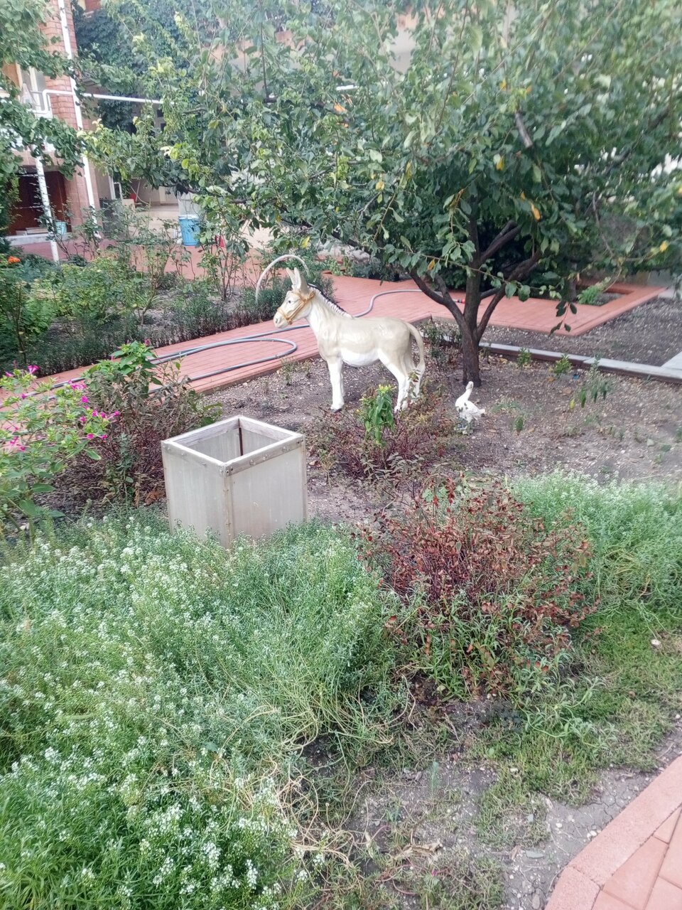 Гостиница Отдых у Александра Геленджик-61