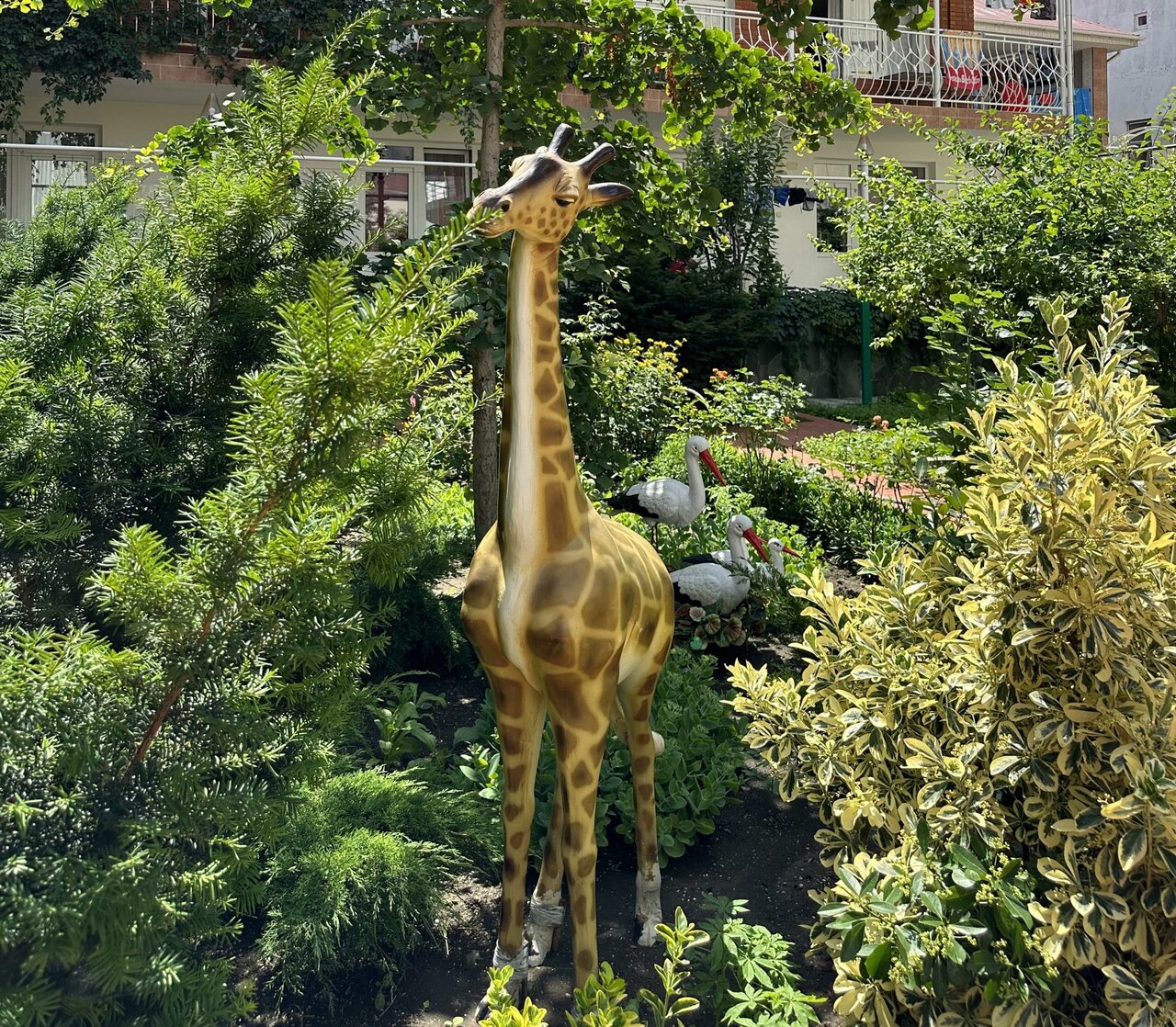 Гостиница Отдых у Александра Геленджик-41