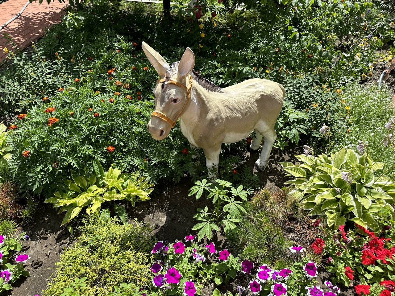 Гостиница Отдых у Александра Геленджик-37