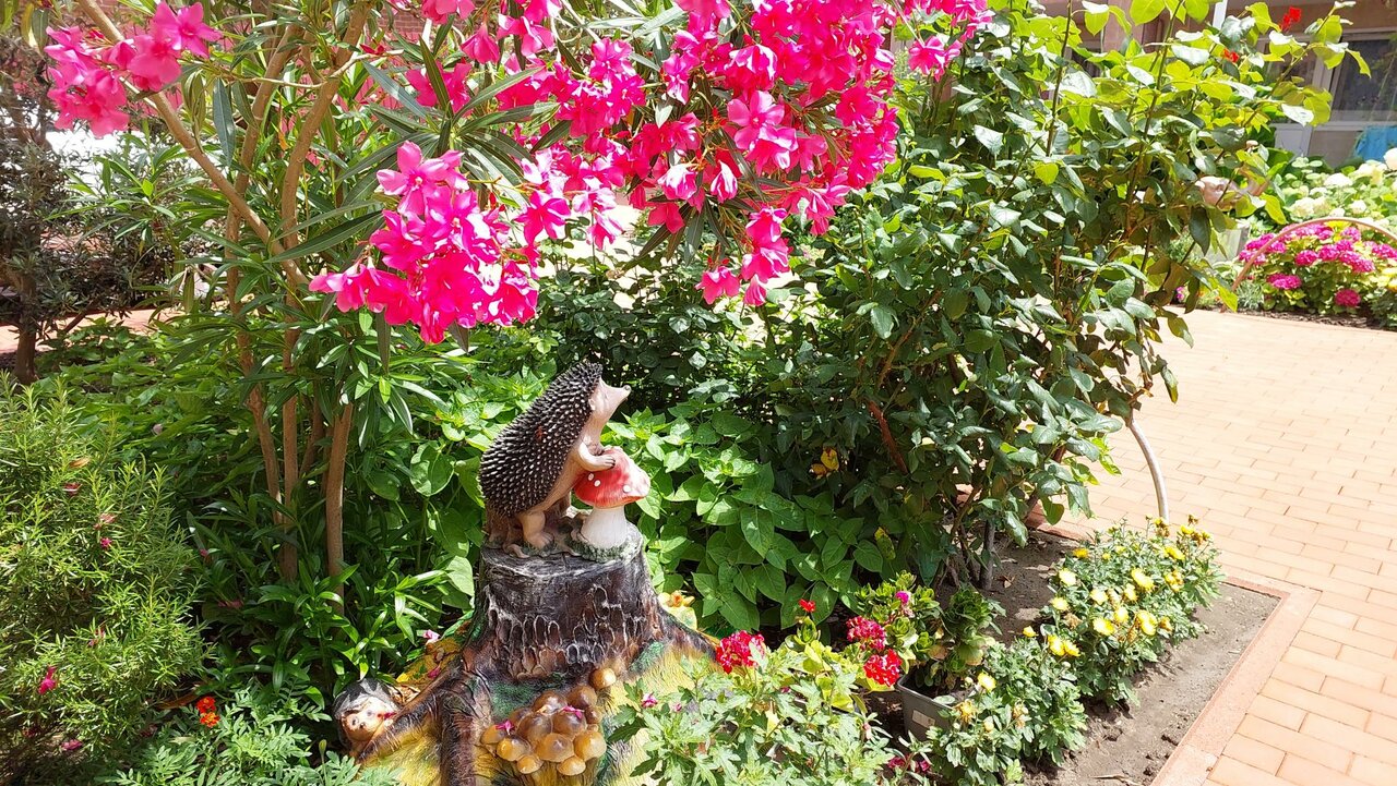 Гостиница Отдых у Александра Геленджик-31