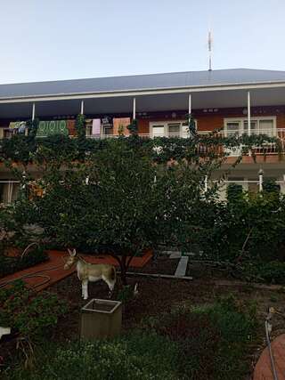 Гостиница Отдых у Александра Геленджик-5