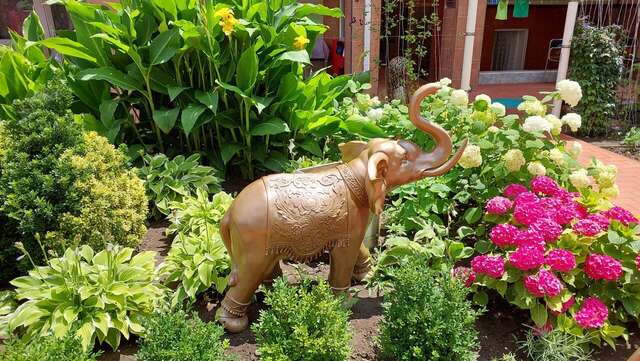 Гостиница Отдых у Александра Геленджик-16