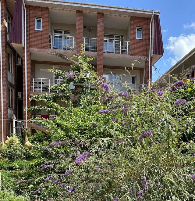 Гостиница Отдых у Александра Геленджик-41