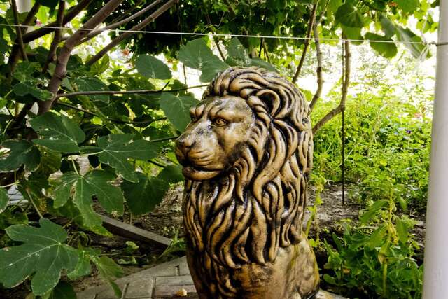 Гостиница Отдых у Александра Геленджик-4