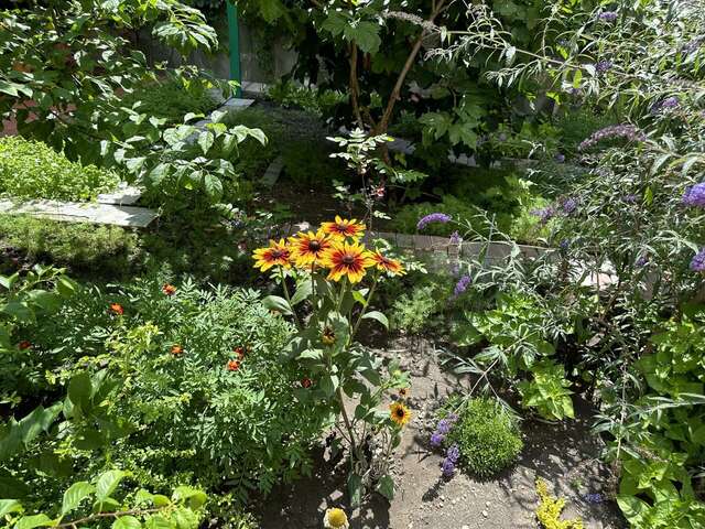 Гостиница Отдых у Александра Геленджик-61