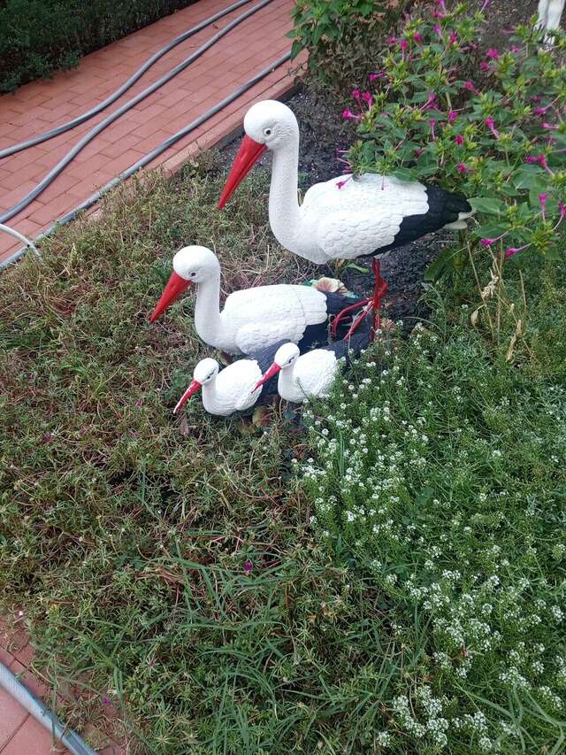 Гостиница Отдых у Александра Геленджик-57