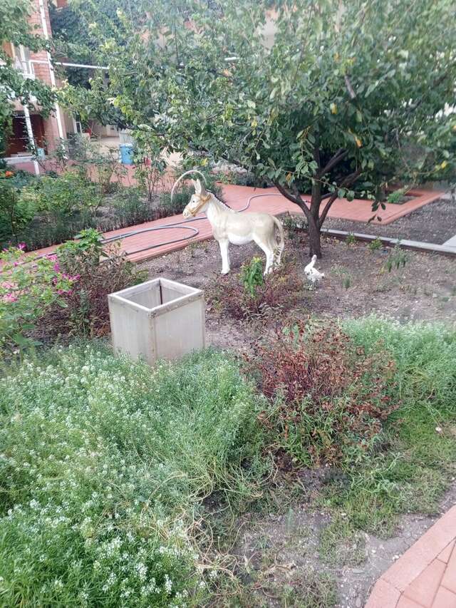 Гостиница Отдых у Александра Геленджик-60