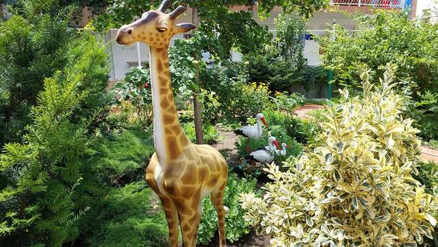 Гостиница Отдых у Александра Геленджик-6