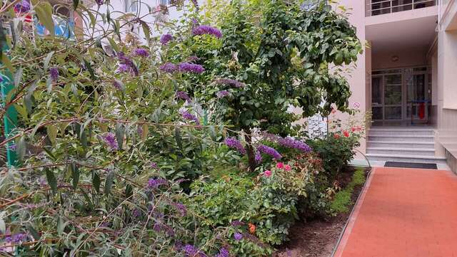 Гостиница Отдых у Александра Геленджик-12