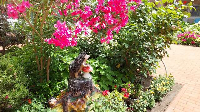 Гостиница Отдых у Александра Геленджик-30